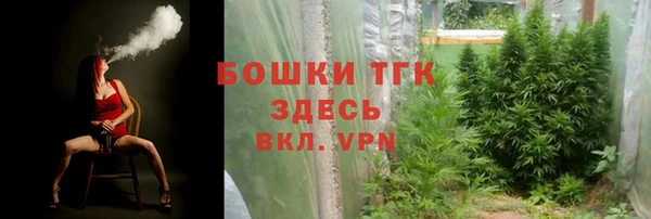ALPHA-PVP Осинники
