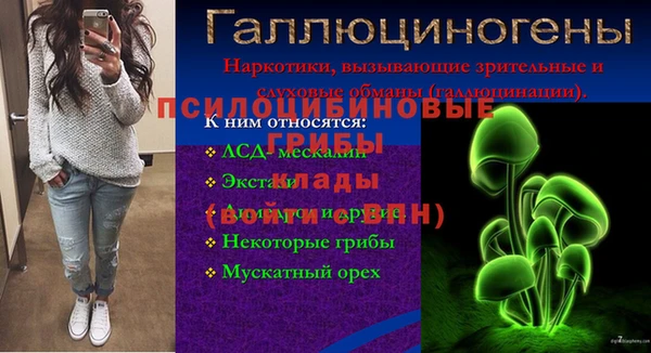 ALPHA-PVP Осинники