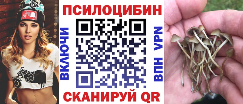 Галлюциногенные грибы Magic Shrooms Купить Собинка